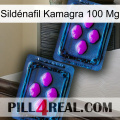 Sildénafil Kamagra 100 Mg 03